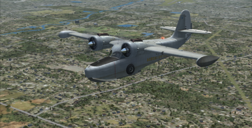 FSX Goose 1.png