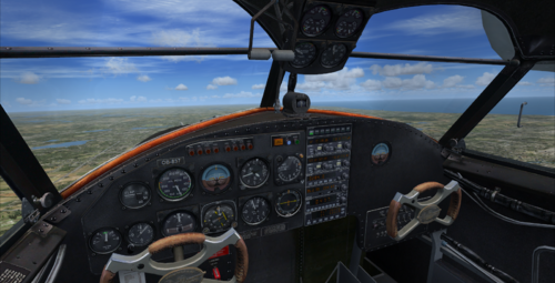 FSX Goose 3.png