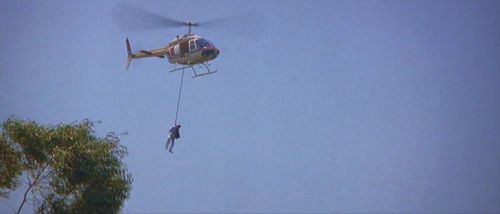 Scarface Hanging chopper.jpg
