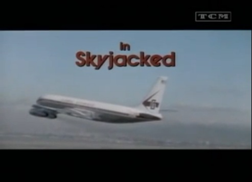 Skyjacked 707C-fly.jpg