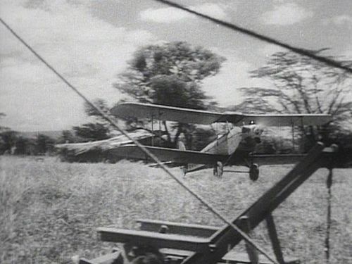 Bozambo DH-60.jpg