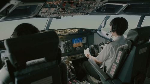 BrushUpLife Ep9-cockpit2.jpg